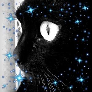 Meet your Posher, Marci